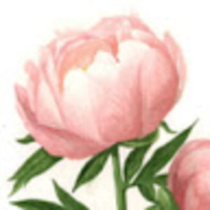 Meet your Posher, Bella